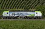 kbs-702-offenburg-basel-rheintalbahn/777616/re-475-423-bei-buggingen-juni Re 475 423 bei Buggingen. Juni 2022.