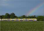 kbs-702-offenburg-basel-rheintalbahn/777620/1462-003-bei-buggingen-juni-2022 1462 003 bei Buggingen. Juni 2022.