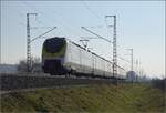 kbs-702-offenburg-basel-rheintalbahn/803582/nachmittag-im-markgraefler-land-463-082 Nachmittag im Markgräfler Land. 

463 082 und 463 024 bei Auggen. Februar 2023.