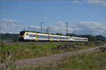 463 001 und 463 022 bei Schliengen. Juli 2024.