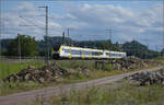 463 001 und 463 022 bei Schliengen. Juli 2024.