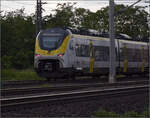 463 0055 und 463 003 (im Bild) bei Binzen. Mai 2024.