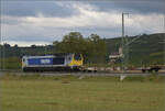 Markgräfler Land vor dem Fall der Blätter.

Voith Maxima 264 003 mit dem Bäumlezug bei Auggen. Oktober 2024.