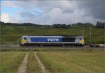 Markgräfler Land vor dem Fall der Blätter.

Voith Maxima 264 003 mit dem Bäumlezug bei Auggen. Oktober 2024.