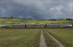 Markgräfler Land vor dem Fall der Blätter.

463 023 und 463 020 bei Auggen. Oktober 2024.