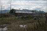 Markgräfler Land vor dem Fall der Blätter.

463 083 und 463 009 bei Auggen. Oktober 2024.