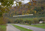 Umleitung um den Isteiner Klotz.

Ein unbekannt gebliebender Bwegt-Desiro HC 1462 bei Kleinkembs. November 2024.