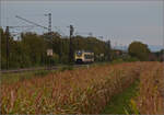 463 082 bei Buggingen. September 2024.