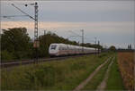  412 098  bei Buggingen. September 2024.