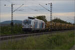 Dualvectron 248 014 der Northrail dieselt unter Fahrdraht mit einem Bauzug bei Buggingen. September 2024.