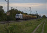 Dualvectron 248 014 der Northrail dieselt unter Fahrdraht mit einem Bauzug bei Buggingen. September 2024.