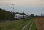  412 051  bei Buggingen. September 2024.