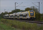 1462 011 und 1462 012 bei Buggingen. September 2024.