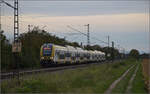 1462 011 und 1462 012 bei Buggingen. September 2024.