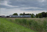 412 057 'Bundesrepublik Deutschland' bei Niederschopfheim.