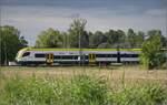 1462 015 bei Niederschopfheim. August 2025.
