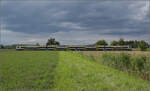 1462 015 bei Niederschopfheim. August 2025.