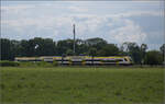 Ein unbekannt gebliebener Desiro HC 1462 bei Niederschopfheim. August 2025.