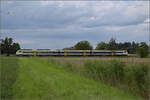 463 010 bei Niederschopfheim.