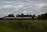 '412 003' - Tz 9003 bei Niederschopfheim.
