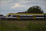 1462 011 bei Niederschopfheim. August 2025.