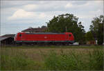 187 193 bei Niederschopfheim. August 2025.
