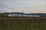 Herbst in Auggen.

463 014 und 463 021 auf dem Weg nach Basel. Oktober 2025.