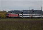 Herbst in Auggen.

101 134 mit einem EC auf dem Weg nach Norden. Oktober 2025.