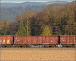 Die Abendstimmung hat l�ngst eingesetzt als 185 270 mit einem Mischer bei H�gelheim nordw�rts vorbeizieht.