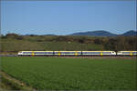 Vermutlich 463 005 und 463 020 (im Bild) auf dem Weg nach Basel in Buggingen.