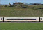 Ein neuerdings wieder überraschend sauberer ICE 4 lädt zum Einzeln-Fotografieren ein. Ob das Gelb der typischen spätnachmittäglichen Sonne im Markgräflerland geschuldet ist oder dem beim Waschen nicht mehr abgegangenen Flugro ...