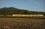 1462 011 auf dem Weg nach Norden.