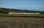 463 019 und 463 023 s�dw�rts bei Buggingen. September 2026.