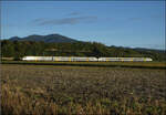 463 019 und 463 023 s�dw�rts bei Buggingen. September 2026.