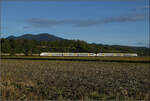 463 006 und 463 002 nordw�rts bei Buggingen. September 2026.