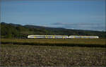 463 006 und 463 002 nordw�rts bei Buggingen. September 2026.