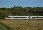  412 092  bei Buggingen. September 2026.