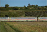 Der 1-Klasse ICE 1-Wagen 801 428 im Zugverband mit 401 054. Buggingen, September 2026.