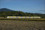 1462 011 auf dem Weg nach S�den. Buggingen, September 2026.