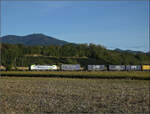 Re 475 434 bringt einen Containerzug nach Norden. September 2026.