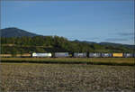 Re 475 434 bringt einen Containerzug nach Norden. September 2026.