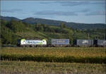 Re 475 434 bringt einen Containerzug nach Norden. September 2026.