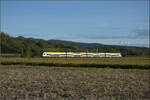 Ein Desiro HC von Bwegt bei Buggingen. September 2026.