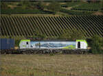 Re 474 435 s�dw�rts bei Buggingen. September 2026.