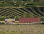 Der Wagen 33 85 4561 090-2 TEN CH-HUPAC Sggnss im Zugverband mit Re 482 030.