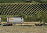 Der Wagen 83 85 4761 078-7 TEN CH-HUPAC Sggnss im Zugverband mit 193 540 'Atomium'.