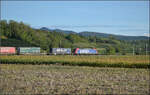 Re 482 030 von Nordic Refinance mit einem HUPAC-Zug Richtung Basel. September 2026.
