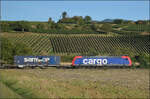 Re 482 030 von Nordic Refinance mit einem HUPAC-Zug Richtung Basel. September 2026.