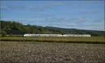 463 023 und 463 019 nordw�rts bei Buggingen. September 2026.