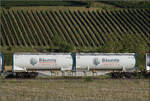 Der Containertragwagen 37 80 4556 139-6 RIV D-AAEC Sgns im Zugverband des B�umlezugs mit 264 003. Buggingen, September 2026.